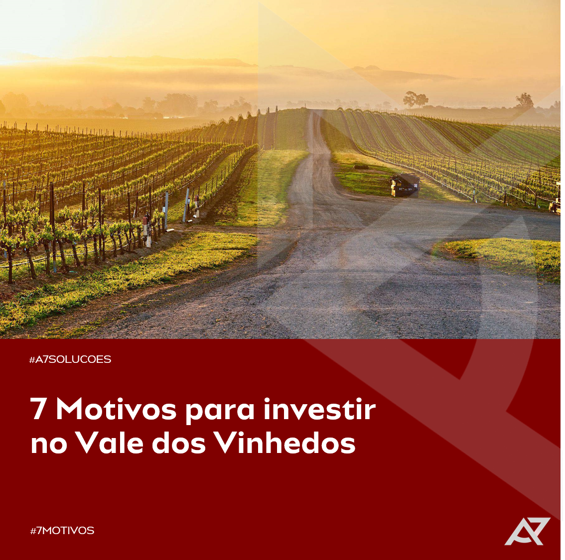 You are currently viewing 7 Motivos para Investir no Vale dos Vinhedos