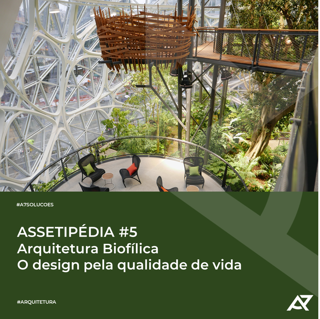 Leia mais sobre o artigo Arquitetura Biofílica: O design pela qualidade de vida